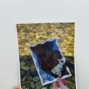 6월 첫번째 특강, 쇼팽에튀드 대양, 파도아래의...학원,지곡음악학원,양학초피아노학원,음악특강...