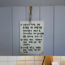 다랑들락 | 제주도 동쪽 - 여성전용 숙소 <다랑들락> 초승다랑 후기 (내부/조식/불멍/일몰투어 feat. 전기자전거)