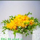 짠지네 이미지