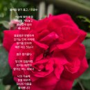 바람향기 티스토리
