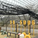 38.5DOG | [충북청주] 반려견 행복, 힐링하는 38.5dog🐶