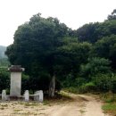 송산로 이미지