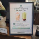 스타벅스 자몽망고코코 프라푸치노 스코프 초콜릿칩 스콘 후기(+고양DT점)