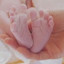박진영 프로필 | 박진영 가수 장관 키 나이 이혼 아내