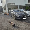 마리네 동물병원 이미지