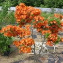 부리농장 이미지