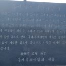 -롱성 여행(3) 태안 국화축제 이미지