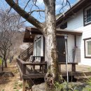 대야민박 이미지