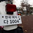 서울 천사의소리 서울신문