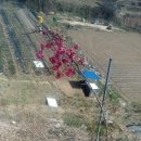 모과나무충전소 이미지