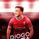 리버풀 축구선수 디오구 조타 교통사고 사망 이미지