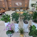 샘들어린이공원 | 포항 가볼만한곳 포항 환호공원 식물원 후기｜주차·입장료 정보와 스카이워크 실내 힐링 여행