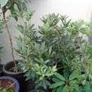 모악농장 이미지