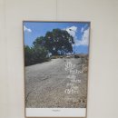 수풀캘리그라피 이미지