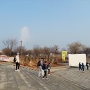 프리드라이프당산본부 | 10km마라톤 세 번째로 뜁니다-여의도 벚꽃마라톤 후기