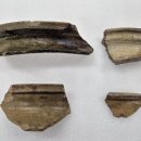 도기도기 이미지