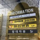 랑데자뷰 대전점 | 둔산동데이트는 갈마역예쁜카페 랑데자뷰 대전점에서