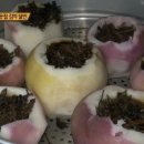 강화분식 이미지