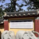 해동용궁사 | [부산 여행] 부산 기장 해동용궁사 다녀온 후기〰 오션뷰대박