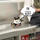 제성기아 | kt위즈 vs 기아타이거즈 3연전 직관 후기 (6/23~24)