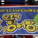 하파데이 이미지