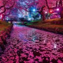 천사의 선물 이미지