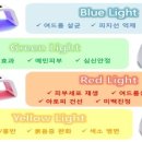 라엘 스킨 앤 바디