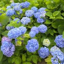 대천천누리길 화장실 이미지