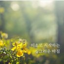 싱그러운아침