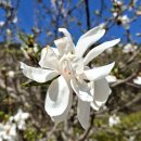 산들길펜션 이미지