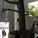 블루메미술관 이미지