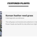 세계라인 티스토리