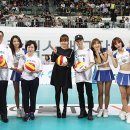 프로보노브릿지 이미지