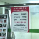 통일로 동물병원 이미지