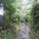 남원읍-5 이미지