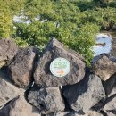 신효동-19 이미지