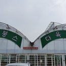 다봉스다육 이미지