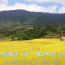 황금물결민박 이미지