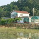 석모도 성호펜션 네이버블로그
