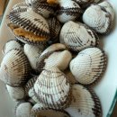 보성명가 | 어디로튈지몰라 벌교 꼬막정식 맛집 정보(보성 30년 전라도 손맛)