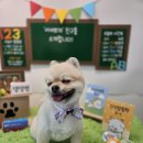 인생개획 네이버블로그