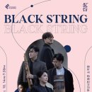 블랙스트링 콘서트 이미지