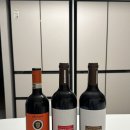 [와인] 스페인 와인 테라린다 가르나차&amp;테라린다 시라 후기