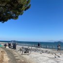 표선충흔묘지 단일로 | 일본 소도시 마쓰야마 여행 | 마쓰야마 근교 이메바리 대중교통으로 가는 법, 코스 | 이마바리성, 스시...