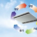 크린에이스 이미지