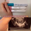 한아름 이미지