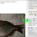 야후 - 동구 동부로30길 35-1 | 야후