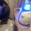 퀸플라즈마