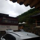 팔수식당 이미지