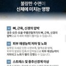 리아쥬르 이미지